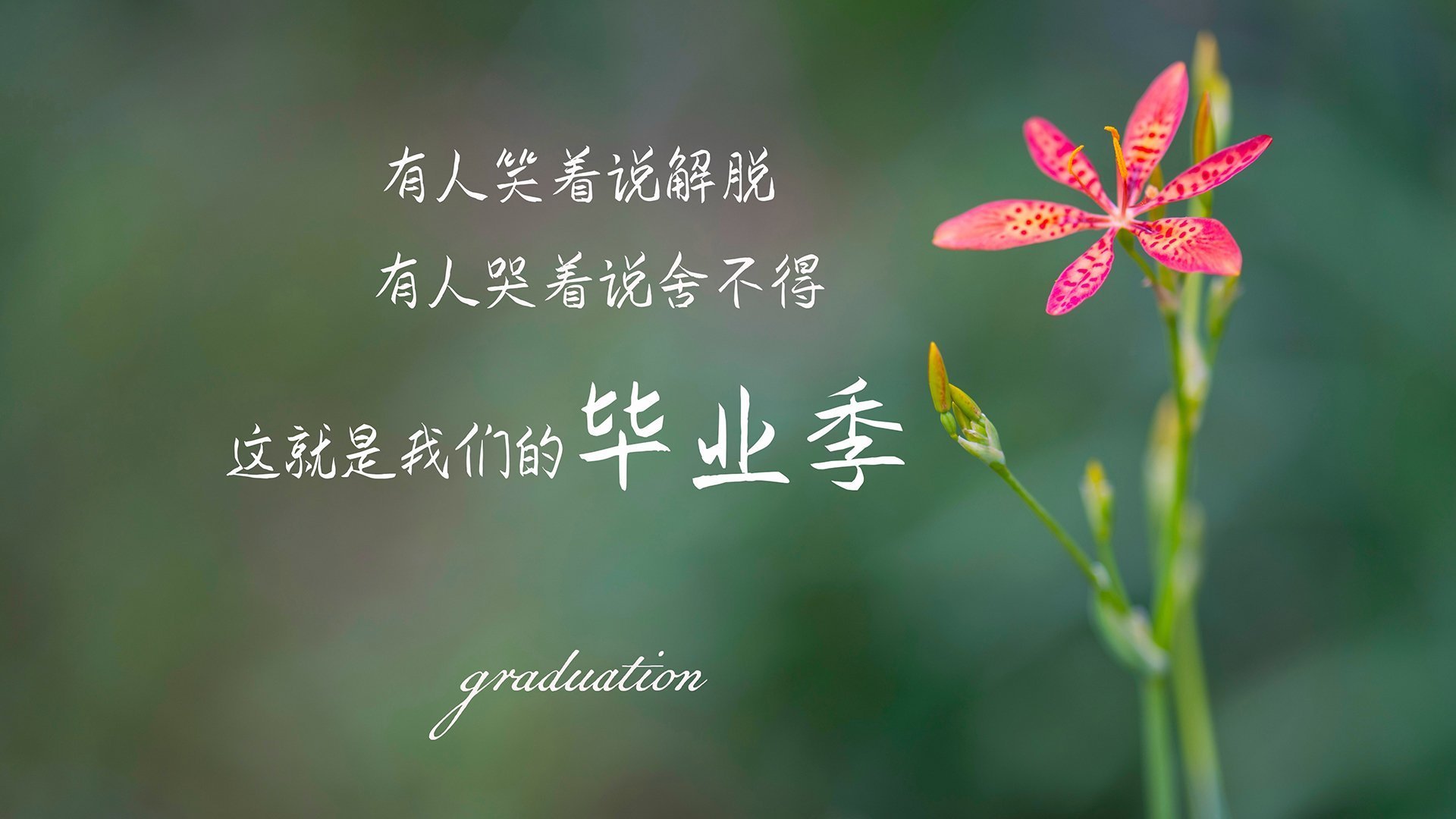 布伦森擎天逆转，尼克斯破热火汹涌波流夺胜